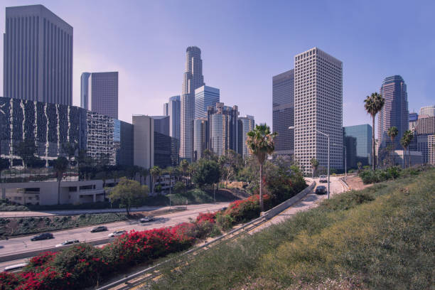 istock Downtown, LA Los Angeles, California  skyline 1016134194