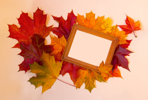 istock Picture frame and autumn maple leaves 1016142754