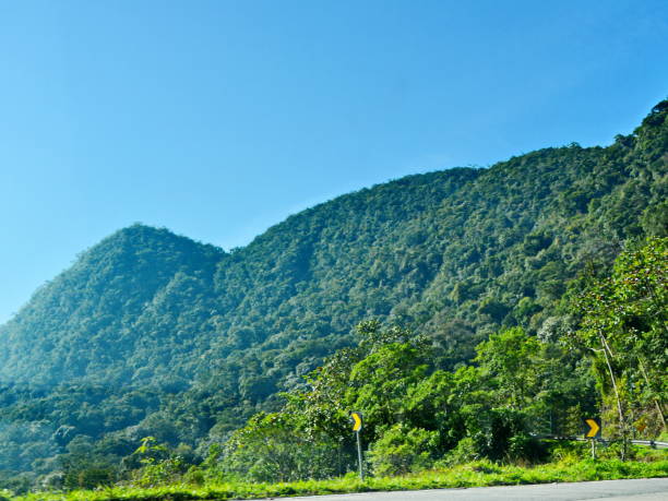 Beautiful landscape in road Dona Francisca The beautiful road Dona Francisca at the top of the Serra do Mar, which connects north Joinville Santa Catarina plateau, in a beautiful landscape with the feet of jacatirão blooming on its banks, a beautiful tour option and tourism. Photo made in Joinville, Santa Catarina, Brazil on 07/28/2018. screen saver photos stock pictures, royalty-free photos & images