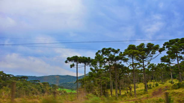 istock Beautiful landscape in road Dona Francisca 1016151724