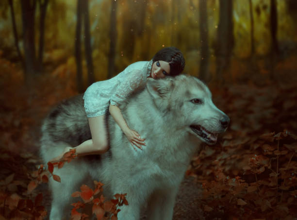 une fille fragile, un loup, comme princesse mononoke d’équitation. belle au bois dormant. malamute d’alaska est comme un loup sauvage. le fond est une forêt fabuleuse dans les couleurs chaudes de l’automne - fairy forest women magic photos et images de collection