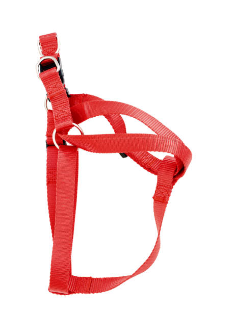 istock Generic, unbranded red dog harness, isolated on white. 1016167740