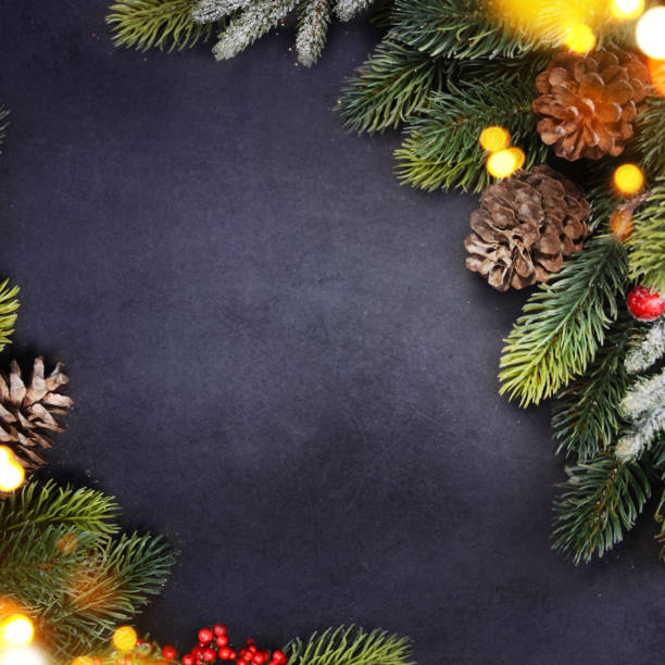 istock Christmas holiday background with fir branch 1016173438