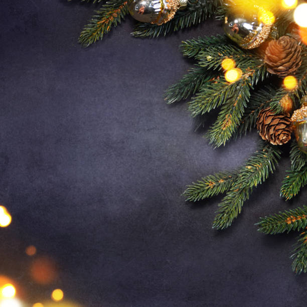 istock Christmas holiday background with fir branch 1016173758