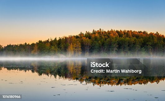 istock Morning lake with fog in autumn colors 1016180966