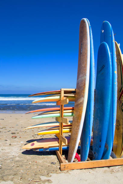 istock Surfboards in Sayulita 1016181006