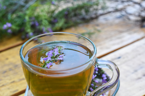 Thymus serpyllum natural tea, Breckland Thyme  with cup of tea