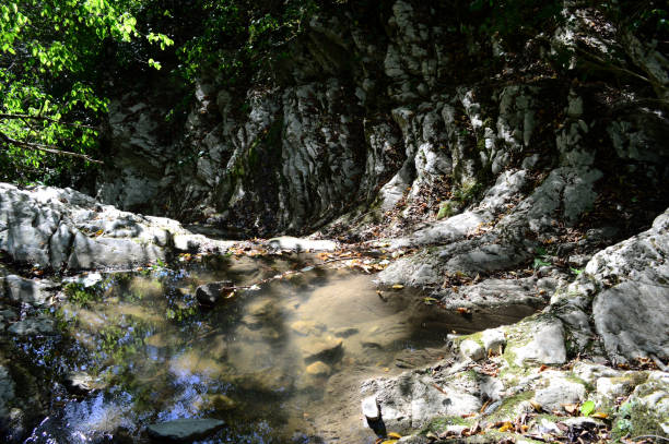 istock crab gorge at Lazarevsky, Sochi, Russia 1016189632