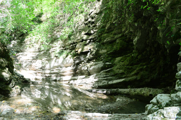 istock crab gorge at Lazarevsky, Sochi, Russia 1016189880
