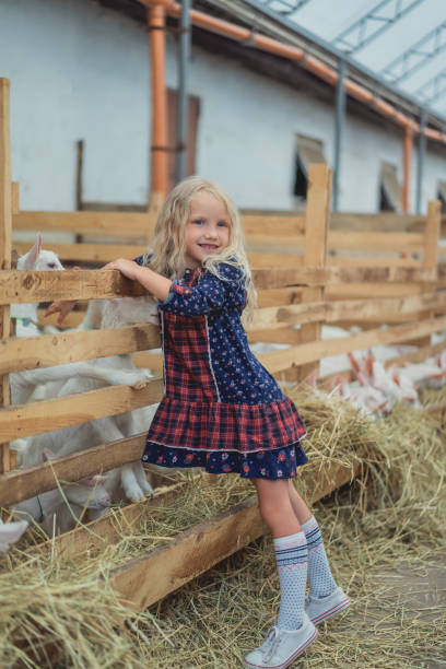 istock smiling kid touching goats in stable at farm 1016190074