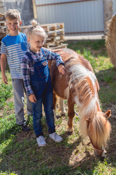 istock siblings standing near cute pony at farm 1016190600