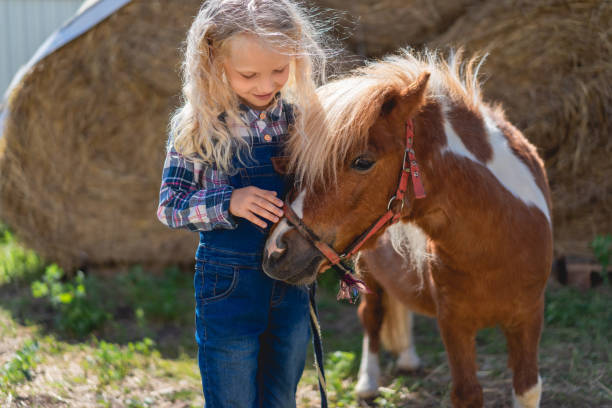 istock happy kid palming cute pony at farm 1016191612
