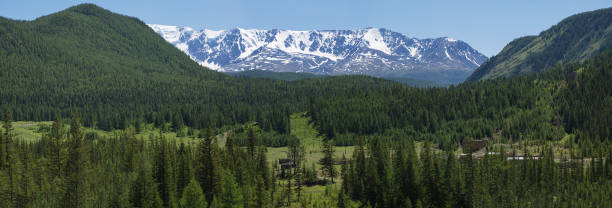 istock Panorama of a large valley 1016201088