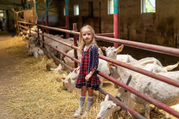 istock adorable kid leaning on fences in barn and looking away 1016201778