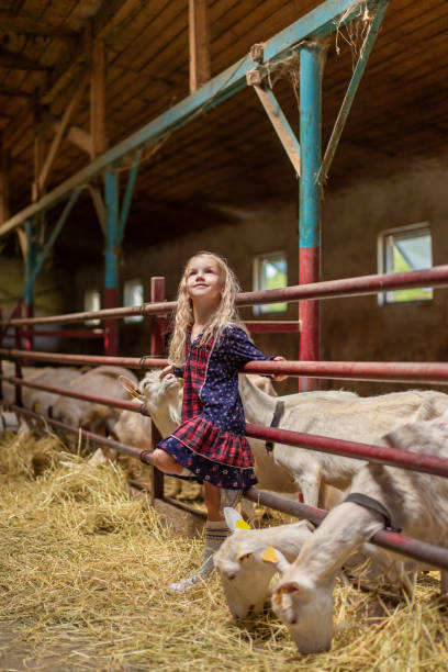 istock smiling kid leaning on fences in barn and looking up 1016201796