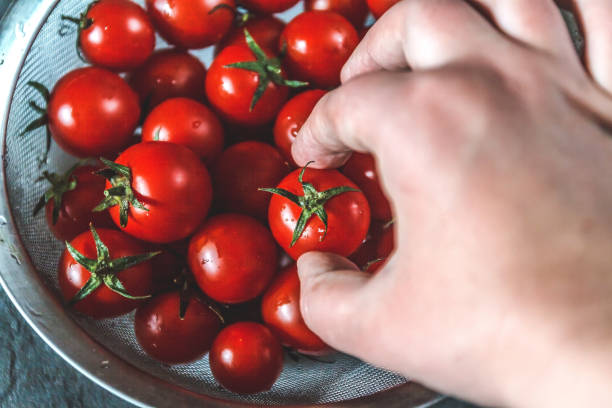 istock hand selects and shows whole fresh cherry tomatoes in a colander 1016204720