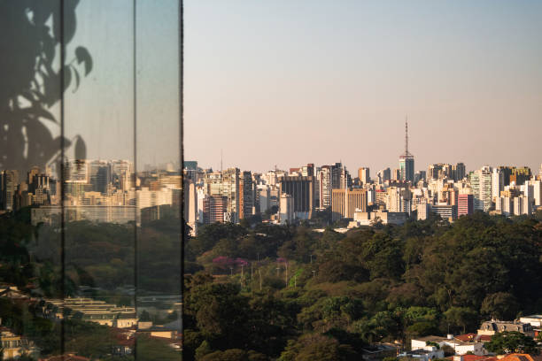 istock Sao Paulo cityscape 1016217418