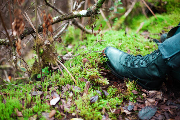 istock Man hiking in the mountain 1016227300