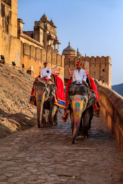 Indian man (mahout) riding on elephant near Amber Fort, Jaipur, India Indian man (mahout) riding on elephant outside Amber Fort, Jaipur, India. Amber Fort is located 13km from Jaipur, Rajasthan state, India. It was the ancient citadel of the ruling Kachhawa clan of Amber, before the capital was shifted to present day Jaipur. jaipur stock pictures, royalty-free photos & images