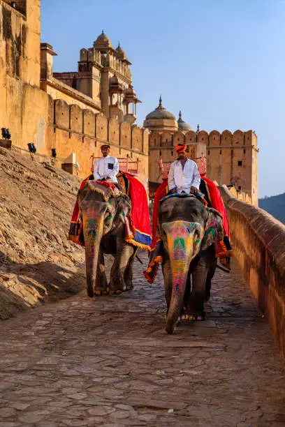 Indian man (mahout) riding on elephant outside Amber Fort, Jaipur, India. Amber Fort is located 13km from Jaipur, Rajasthan state, India. It was the ancient citadel of the ruling Kachhawa clan of Amber, before the capital was shifted to present day Jaipur.