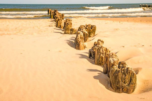 old groin in the Baltic Sea  in Poland old groin in the Baltic Sea in Poland algue stock pictures, royalty-free photos & images