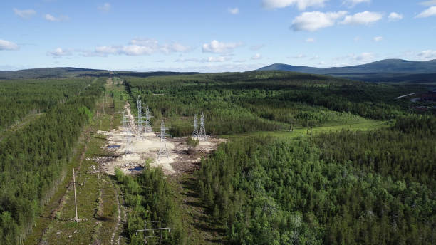 istock Electricity Pylons Aerial View 1016262970