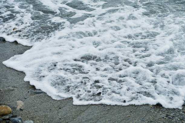 istock sea surf, foam on the black sand beach 1016263122