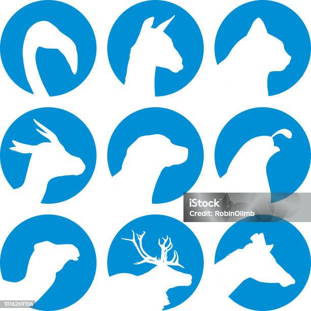 Animal Head Icons Stock Illustration - Download Image Now - Quail - Bird, Icon Symbol, Dog