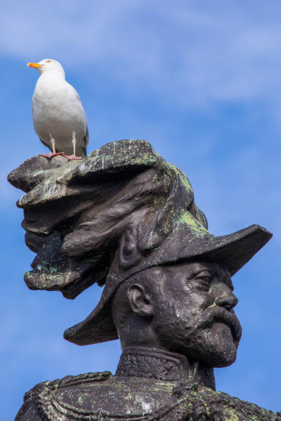 View from behind of a seagull overlooking the landscape