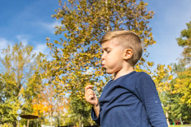 istock Small boy blowing dandelion flower. 1016275678