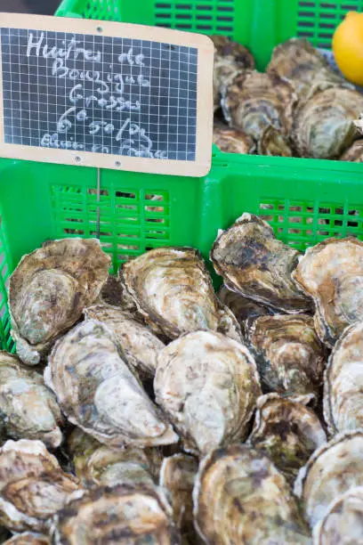 Photo of Fresh Bouzigues oysters on sale at Agde local market, one of france typical seafood.