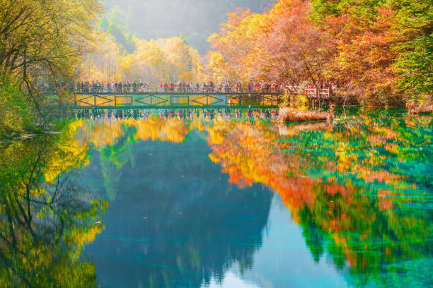 istock Trees by colorful lake at autumn day time. 1016284058