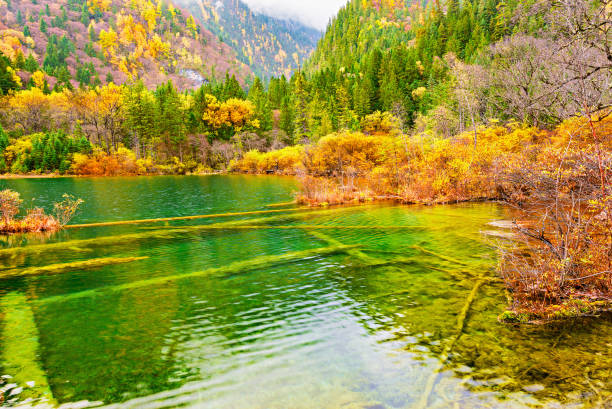 istock Jiuzhai Valley National Park, China. 1016284104