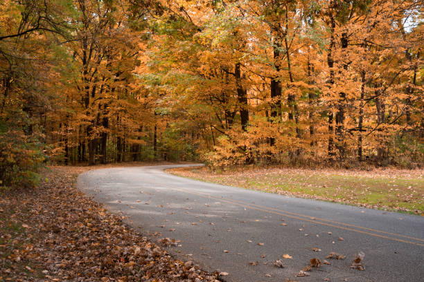 country road in the fall - indiana autumn woods forest imagens e fotografias de stock
