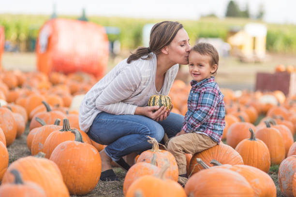 istock Mom and her little boy at the pumpkin patch 1016293412