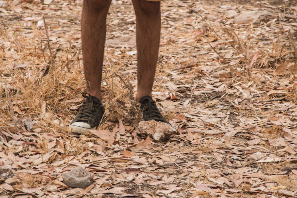 istock Low section of a man standing in a forest on dry leaves 1016295962