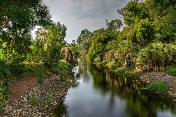 Winding riverway of the Gordon River tributary in Naples, Florida