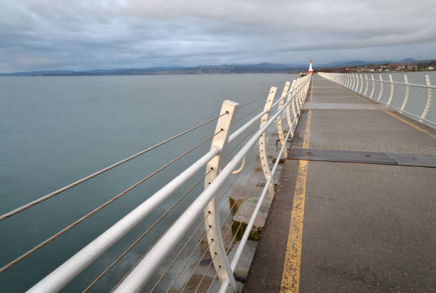 istock Ogden Point Breakwater Lighthouse, British Columbia, Canada 1016320326