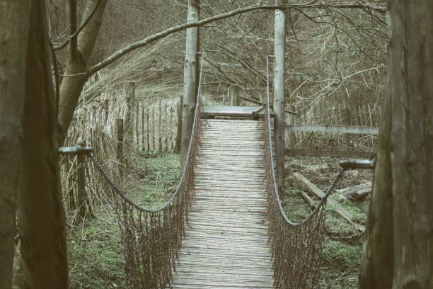 istock Puzzlewood in Monmouthshire, Wales 1016320680