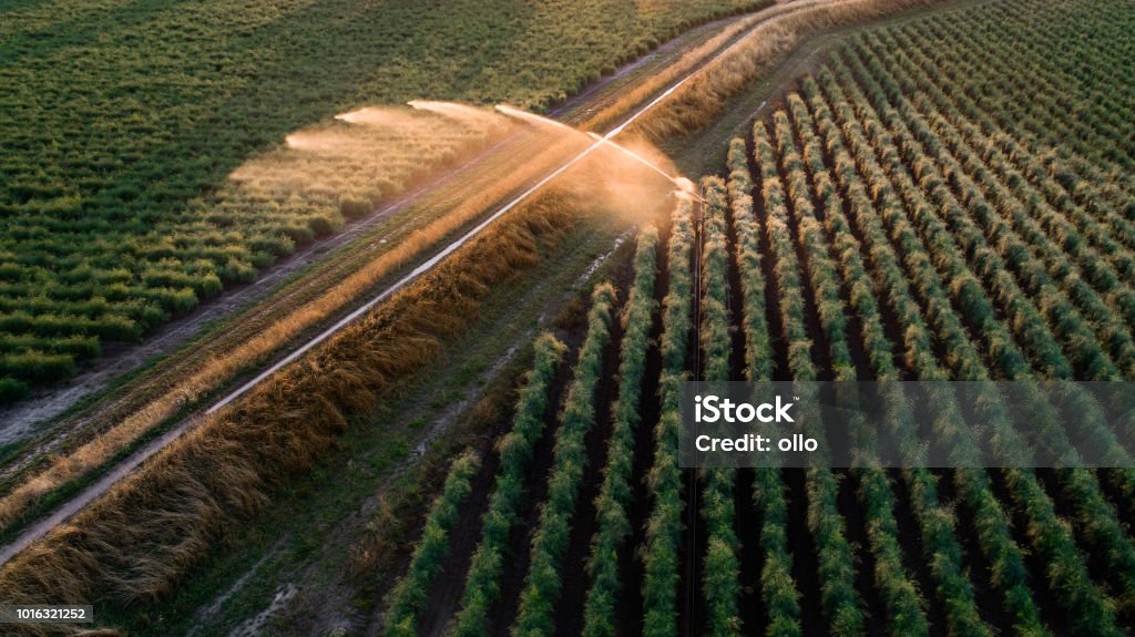 Agricultural sprinkler - irrigation area, aerial view Agricultural sprinkler - irrigation area, aerial view - back lit Irrigation Equipment Stock Photo