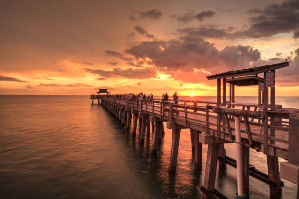 istock Pink and purple sunset over the Naples Pier 1016335156