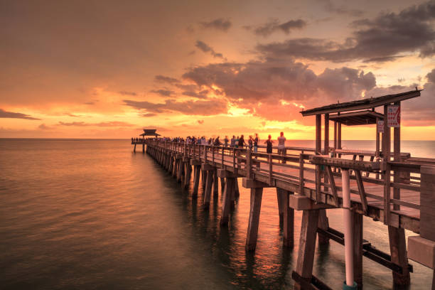 istock Pink and purple sunset over the Naples Pier 1016335178