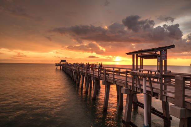istock Pink and purple sunset over the Naples Pier 1016335188