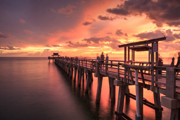 istock Pink and purple sunset over the Naples Pier 1016335192