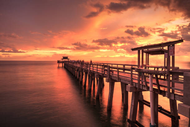 istock Pink and purple sunset over the Naples Pier 1016335196