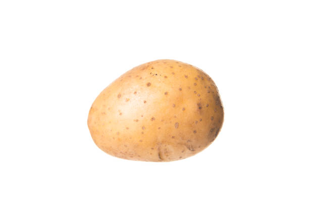 istock Raw potato food . Fresh potato 1016335654