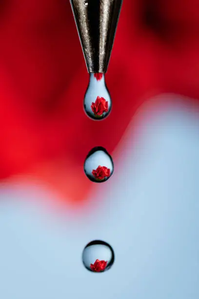 A red rose refracted through drops of water coming from a faucet