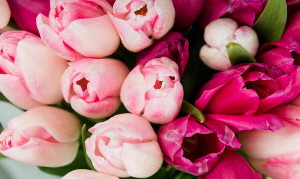 istock bouquet of pink tulips 1016340960