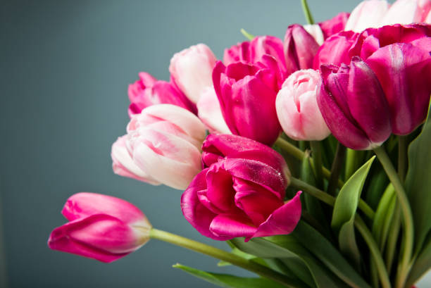 istock bouquet of pink tulips 1016340962
