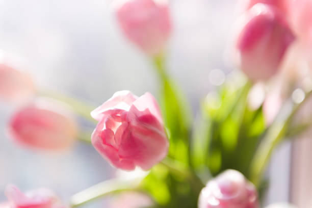 istock A bouquet of  tulips in a vase. Soft selective focus 1016341022